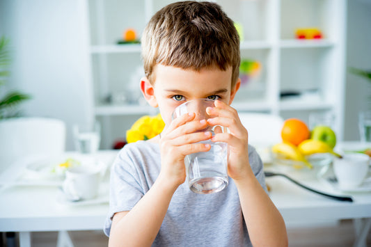 which water filtration system is best for home