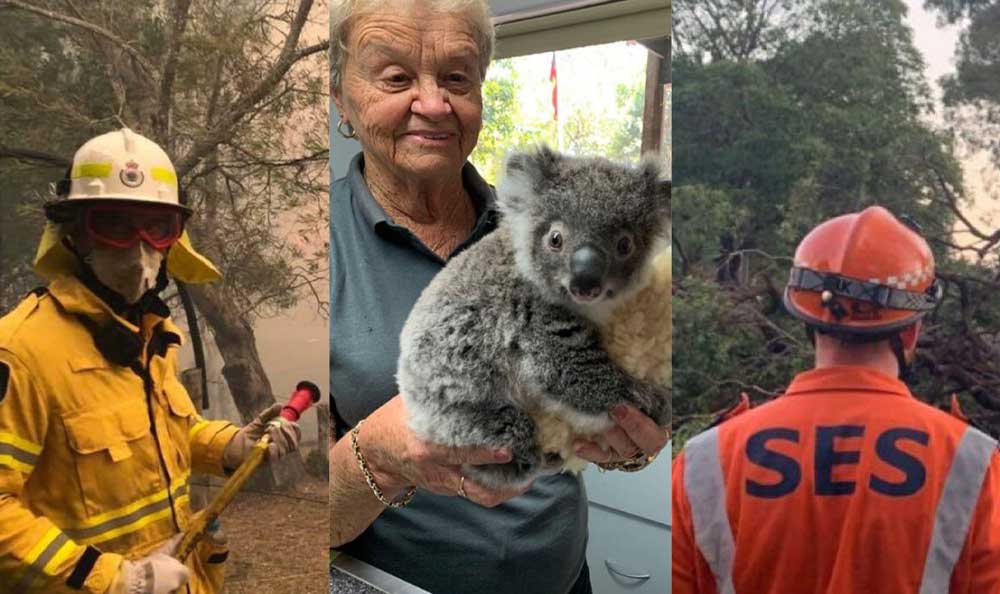 celebrate Australia Day plus help bushfire wildlife offer