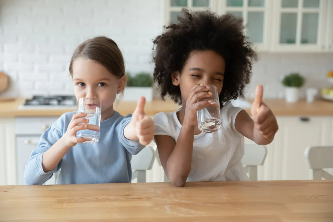 which filtered water dispenser is best?