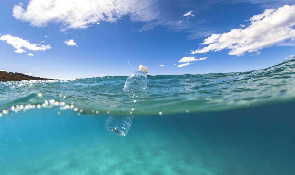 the shocking reason you should ditch plastic water bottles NOW!