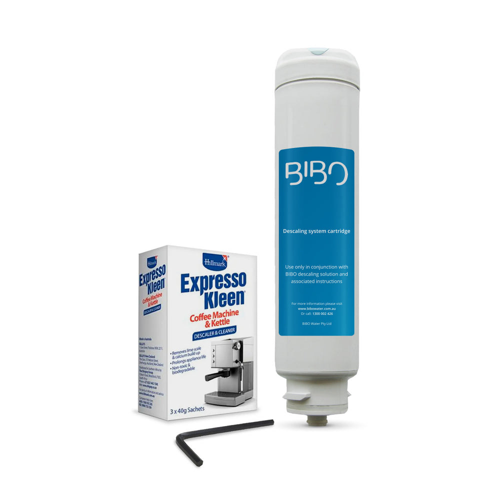 BIBO Descaling cartridge and recommended BIBO descaling solution